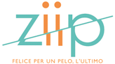  logo Franchising ziip